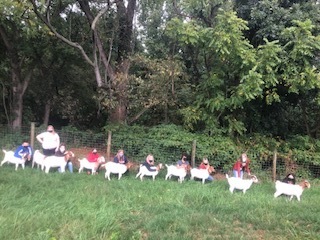 PageCountyHighSchool tweet media