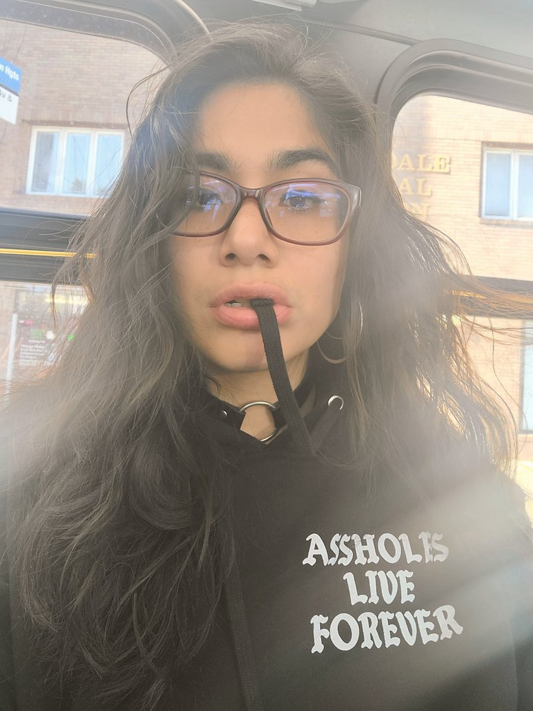 Lucy Sunflower On Twitter So Hype Its Hoodie Weather In Nyc Assholesliveforever