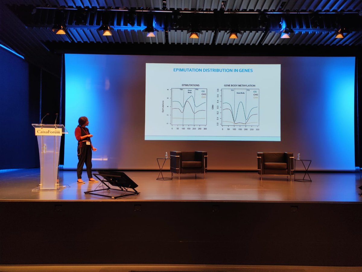 Simone Scalabrin tweet media
