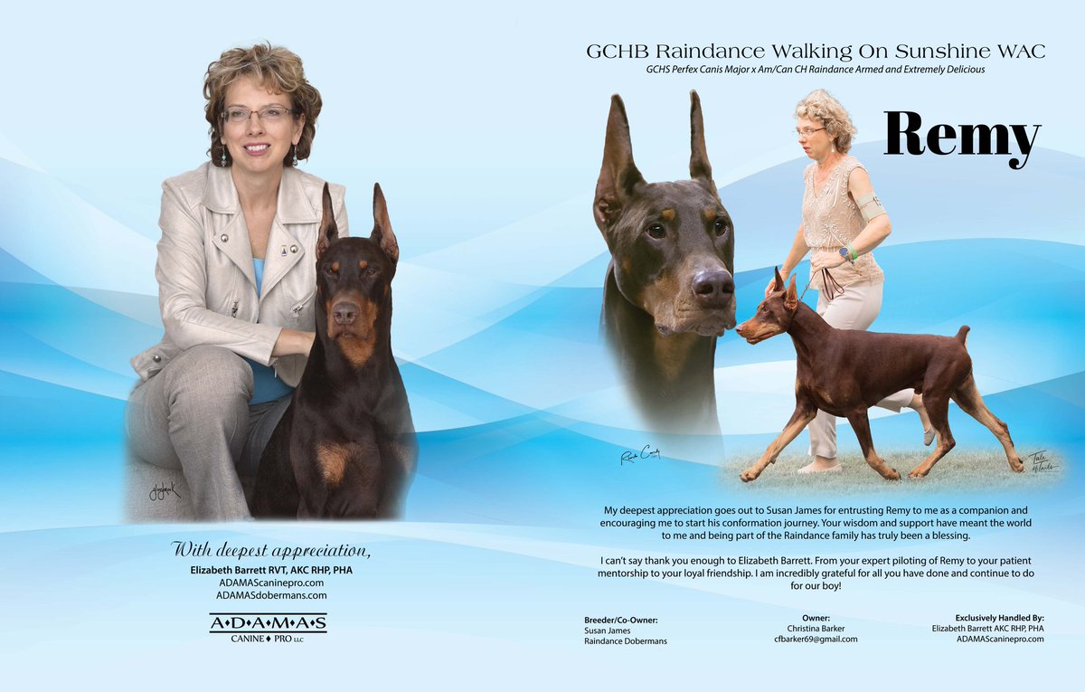 Upcoming Doberman Nationals Ad!  Get it done Team Remy.