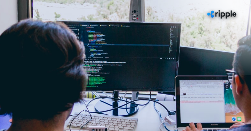 RippleXDev's tweet photo. Explore the key benefits and advanced blockchain features that help developers and businesses build on the XRPL every day. https://t.co/uAUm9KZkQe
