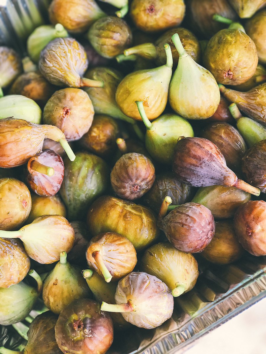 💃 We’re gettin’ figgy with it!! The figs are back in town! While you’re here make sure to pick up some fresh goat cheese and fig jam! Don’t forget to show this post to your cashier to get 10% off all produce today (9/30) and tomorrow (9/29) only! #farmersmarketofgrapevine