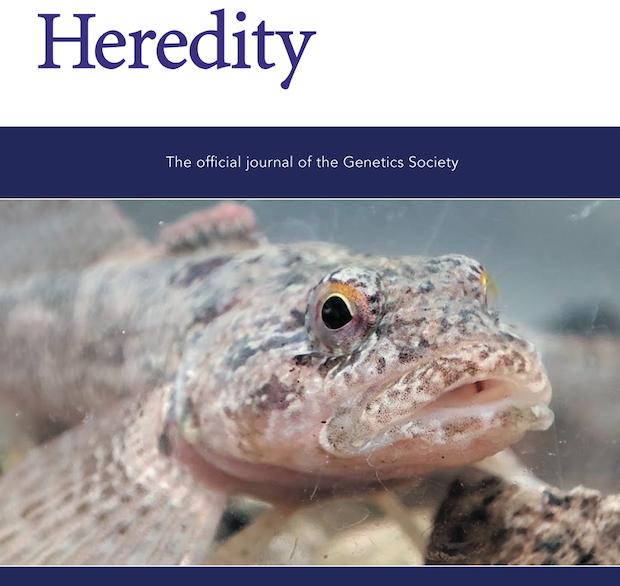 HeredityJournal's tweet photo. ๐ฃ Our October issue is now online ๐ฃ
https://t.co/Je0f5oNMYP
#inbreeding #geneExpression #LinkageDisequilibrium #popgen #climate #evolution #phylogeography #drosophila #ConGen #purging #selfIncompatibility #inbreedingDepression
#hybridization #Medicago #heterosis #epistasis https://t.co/itw2N3C5Bl