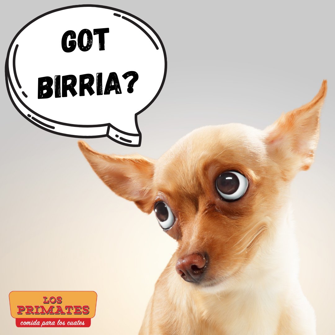 losprimatescdmx's tweet photo. 😎 🔥 OH, YEAH! 🌶🐵
https://t.co/UL4BRzfI3h #ViveLaBuenaBirria #Quedateencasa #BirriaCDMX #PideLocal https://t.co/ppI4mt8XsC