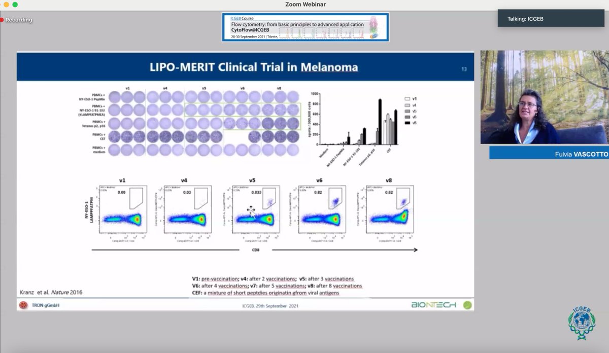 Benvenutilab tweet media