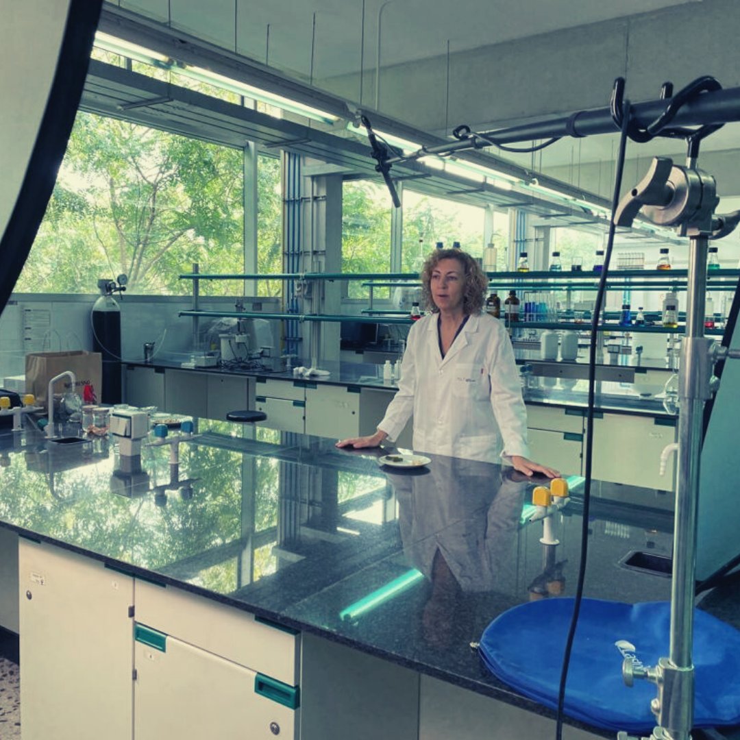 RetoExperimenta's tweet photo. Llums... cámara, acció! Quin muntatge el d'avui al laboratori del Campus Sescelades de la @universitatURV ! 
I és que el nostre equip ha estat treballant en les noves #càpsules d'alfabetització científica! Atents a les nostres xarxes, que en breu descobrireu molta bona ciència! https://t.co/8Xk5gWgDzb