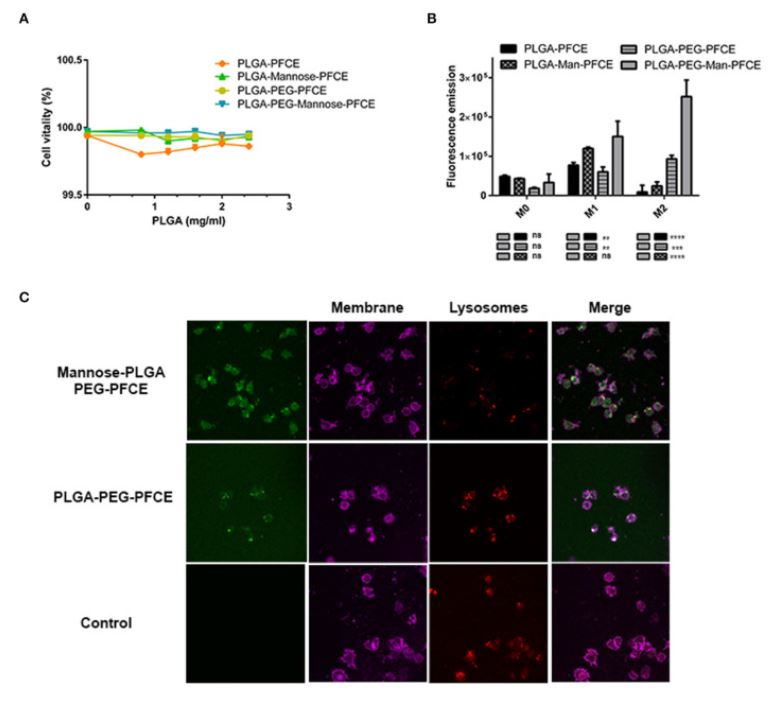 CancerNemi's tweet photo. Near-infrared bioluminescence imaging of two cell populations in living mice

Giorgia Zambito &amp; Laura Mezzanotte

|STAR Protocols|

https://t.co/F67RrZtxAZ

#H2020 #MSCA #cancerproject https://t.co/erzSv0EzgA
