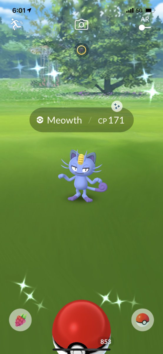 Strawbe54542302's tweet photo. My #alolanmeowth Spotlight Hr Went Great!! 😁 @PokemonGoApp #GamingSetup #pogo #PokemonGO ✨🍓#SupportSmallStreams ✨🍓 #followme 🍓#strawberryman ✨🍓 #Crypto #StaySafe #COVID19 #practice #SocialDistancing #Entrepreneurship #GetVaxxed #PlayToEarn #shinypokemon 😄 #alolanpokemon https://t.co/jNxVeejgNp
