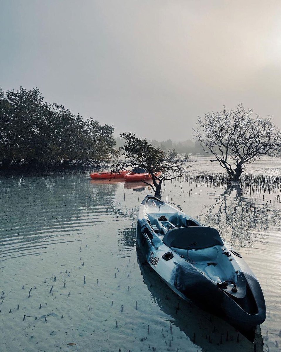 AbuDhabiLife's tweet photo. Simply Paddle your way to happiness In our ig:amazingabudhabi ๐ถโฃ _ ๐ธ ig:mmalmarzouqi โ๏ธ _ #simplyabudhabi #abudhabi #myab... https://t.co/wWNyWAcgB8 #KeysOfAbuDhabi https://t.co/VAXVa6xmjZ