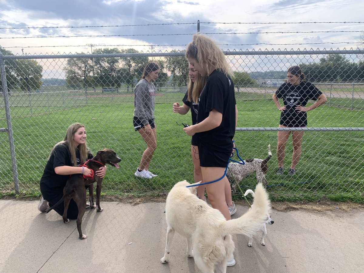 msidewvb's tweet photo. The girls had a blast participating in the campus wide event of Into The Streets! We had girls helping at the Animal Shelter, making Christmas ornaments at Simple Life, and helping at the Mid America Museum of Aviation and Transportation! #MustangVolleyball #MsideProud https://t.co/CJfwsPQQi5