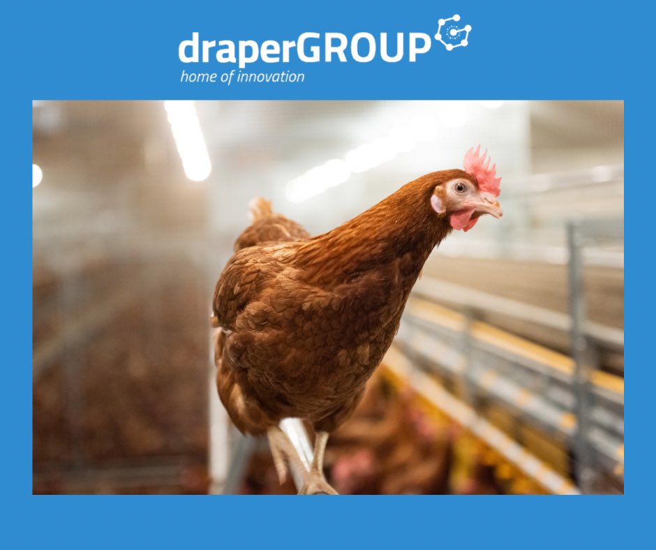 draperGROUP tweet media