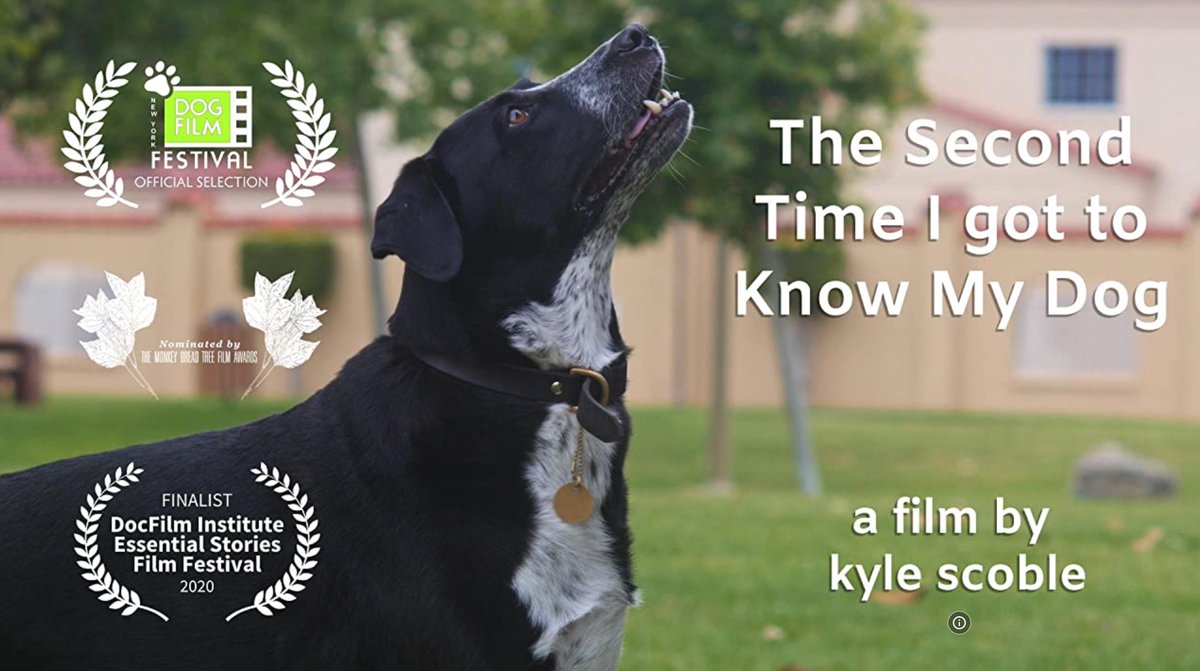 Kyle Scoble joins Festival Founder, <a href="/traciehotchner/">traciehotchner</a>, to chat about his film “The 2nd Time I Got to Know My Dog”  featured in the upcoming NY Dog Film Festival and how the isolation of the pandemic impacted his relationship with his dog ➡️ow.ly/8AW950GiMBq