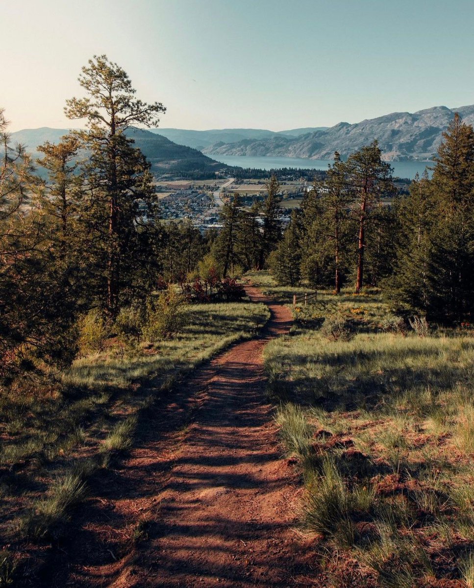 NatureVSCO's tweet photo. Summerland, British Colombia, Canada 🇨🇦
📸: bradenstanley | IG https://t.co/unDoLsoeTg