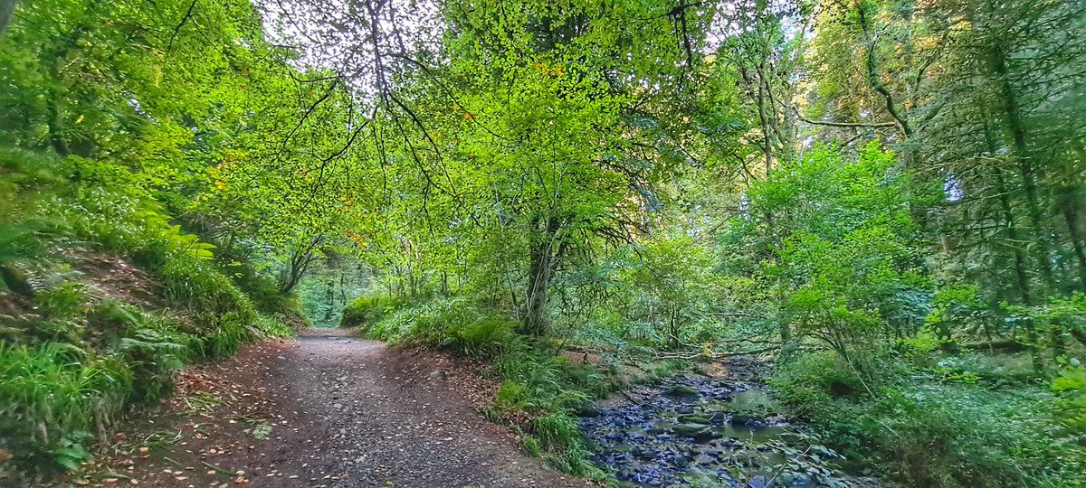 JamesCarlislef1's tweet photo. Autumnal walk through the park #DunaRi @bbcniweather @angie_weather @WeatherCee @barrabest @linzilima @cherylwoods33 @TanyaDa00922232 @cabracastle @ThisIsCavan https://t.co/29Ofy9yXvS