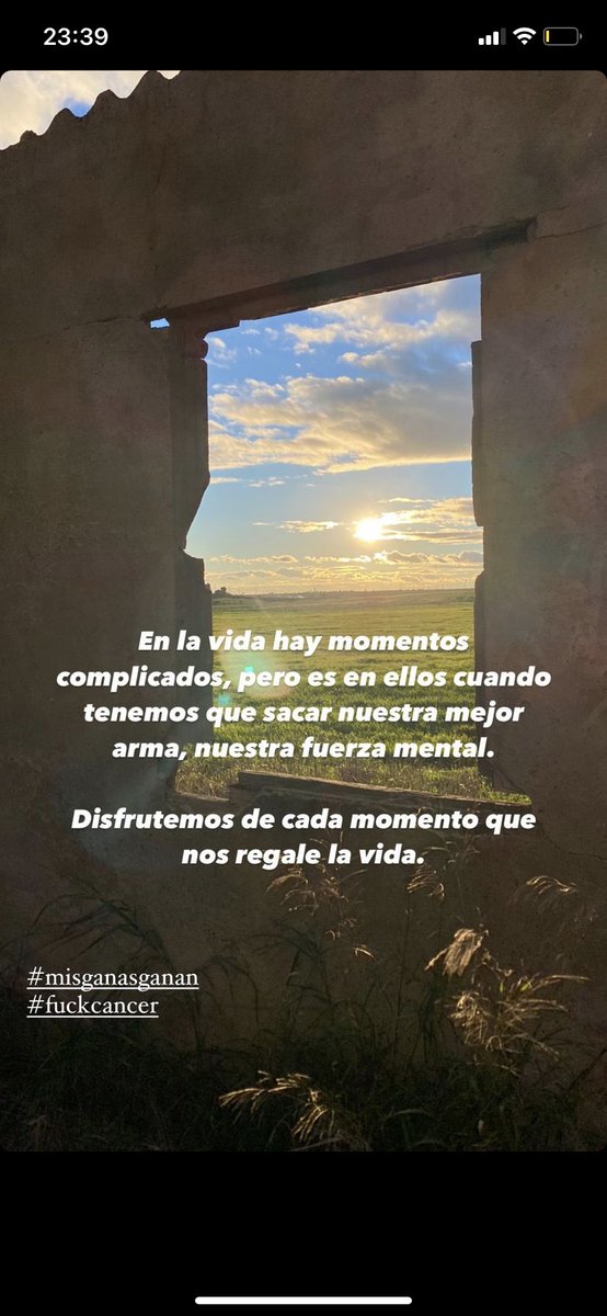 Marc Gasol Info tweet media