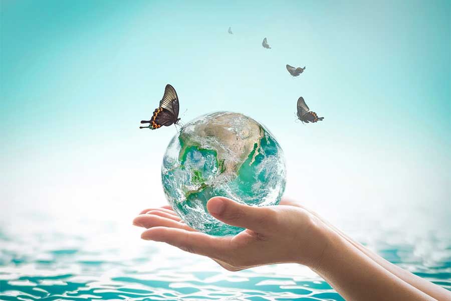 I would like to tell you a story.  Well, really, I want to tell you the story within the story, and there is actually a story with all of that.  But, I suppose the best place to begin is to tell you about the tree. #life #balance 
ow.ly/lAMM50GiG6j