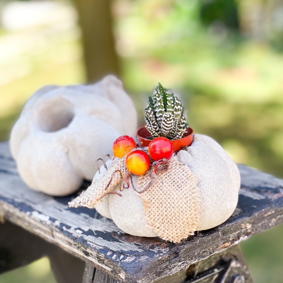 brantlibrary's tweet image. 🍂 Welcome fall and register for supplies for "Concrete Pumpkins" (ow.ly/jx5M50GhnN5).

While supplies are limited to those who register, all can watch Kelly's DIY video when it premieres at brantlibrary.ca/youtube!

#BrantCounty #BrantArt #PumpkinArt