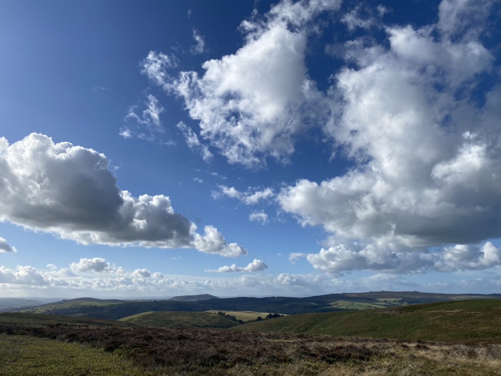 RHewlitt31 tweet media