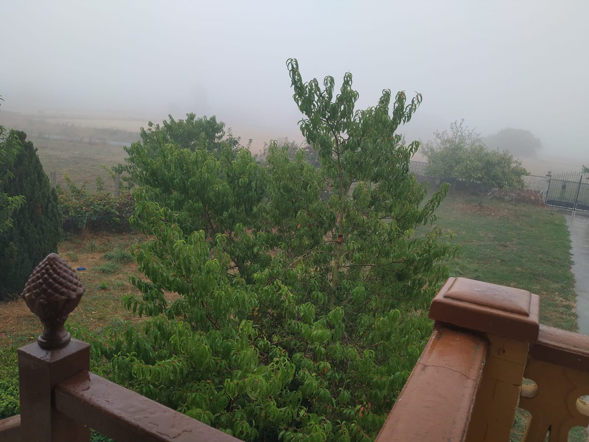 Analizando la taquilla del pasado fin de semana en España con César Sanz (24-26 de septiembre de 2021) nosolocine.net/analizando-la-… .<a href="/taquilla_espana/">Taquilla España</a> <a href="/mapizarro90/">Miguel Ángel Pizarro</a> <a href="/TaquiBox/">T A Q U I B O X</a> <a href="/LaiaMF/">Laia Marsal Ferret</a> <a href="/cineparames/">CINE PARAMES 📽️</a> @svetisl34654449