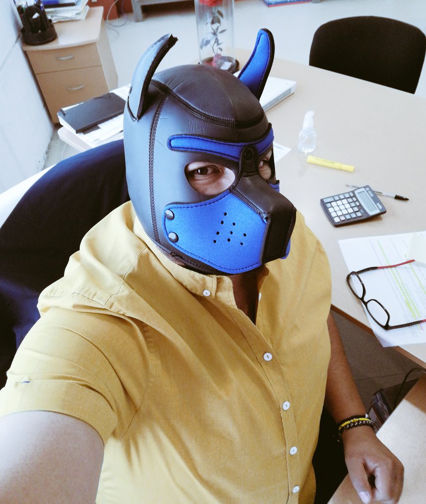 FenRo_pup's tweet photo. Miércoles  de oficina!!  A darle a  quien se deje 🐶👍🤩🐶 https://t.co/nHNLasPGrX