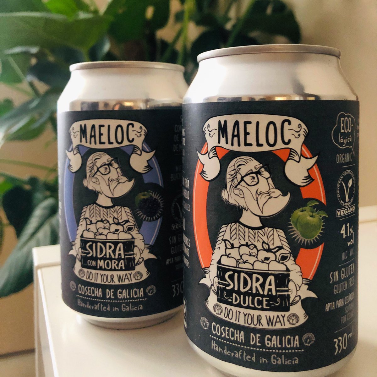 maelocway's tweet photo. Para los enamorados del dulzor tradicional nuestra sidra maeloc dulce os va a encantar. 🍏🍎
Y si quieres un dulzor especial, un toque de mora te sorprenderá. 🫐🫐
¿Cuál de estas dos Maeloc tomarías ahora? 🤷🏻♀️🤷🏻
#sidramaeloc #sidradesabores #Maelocsidrasderaíz #CosechadeGalicia https://t.co/ydHPL0nfDp