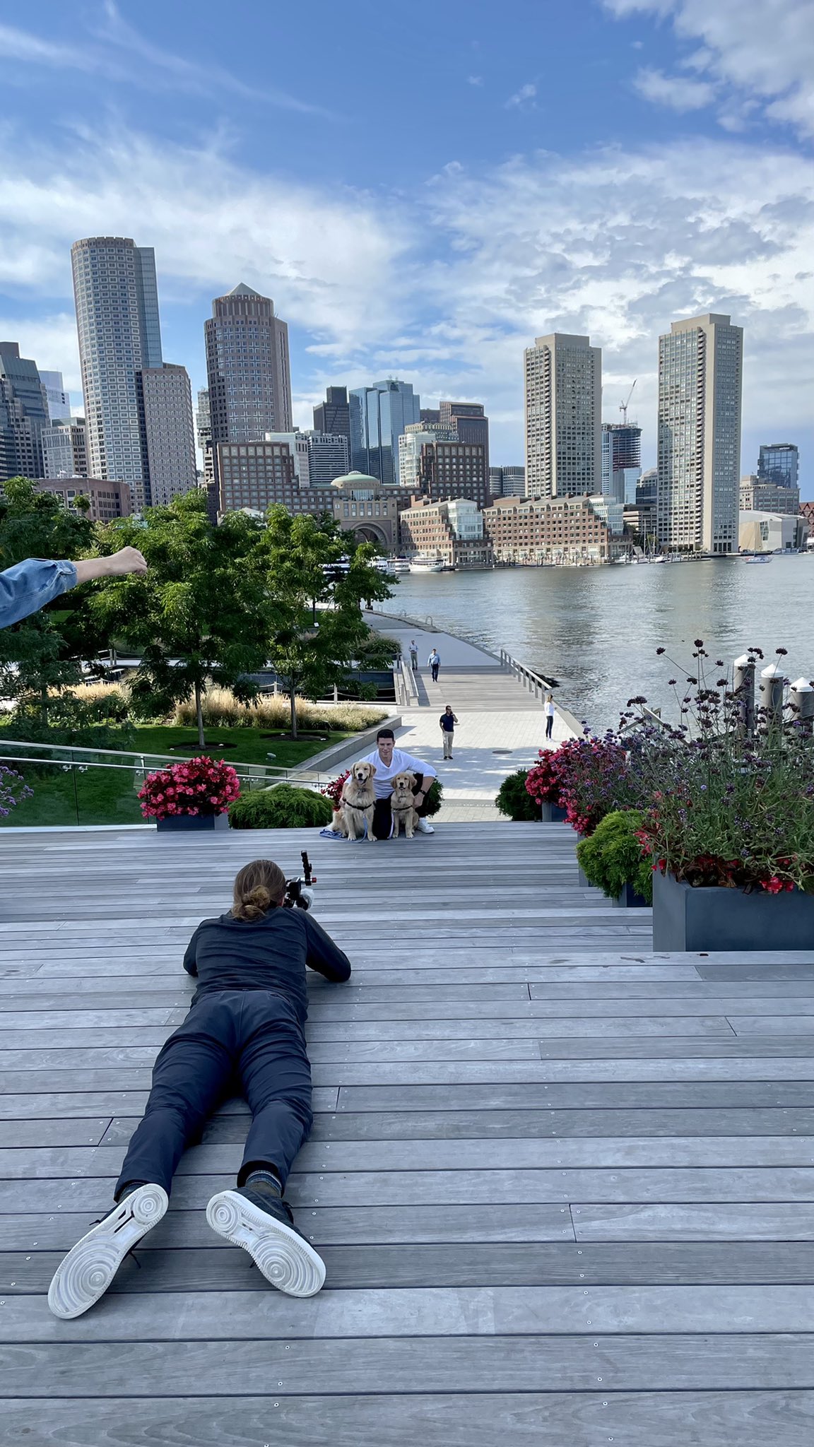 Where Can Dogs Swim In Boston