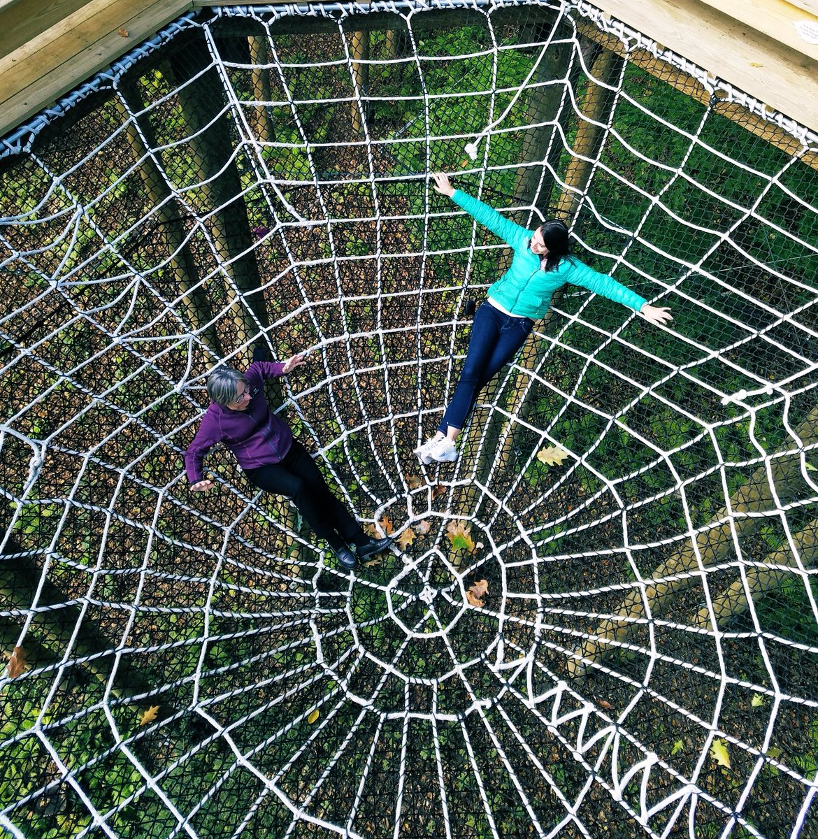 NEstaphan's tweet photo. Lots of firsts in VT-our first interview in a spider web 🕸 and yoga classes above the 🌳 tops. Can’t wait to bring you some cool stories and incredible views on our next #tankaway #chronicle5 #wcvb #woodstock #quechee #barnard https://t.co/5KmvGRySUc