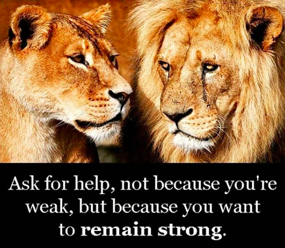 ThorneGuidance's tweet photo. How do lions lead and show strength? They ask for help when they need it. Reach out to someone if you need help. It’s a sign of strength. We are all here to support you! #weallneedhelpsometimes #180WaysLionsLead 🦁 @thorne_ms https://t.co/5yXdBVIm7e