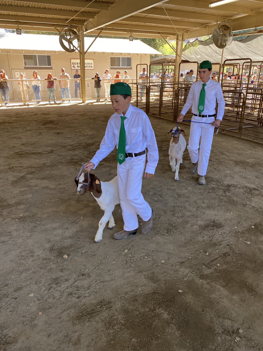 Westside Farmer tweet media