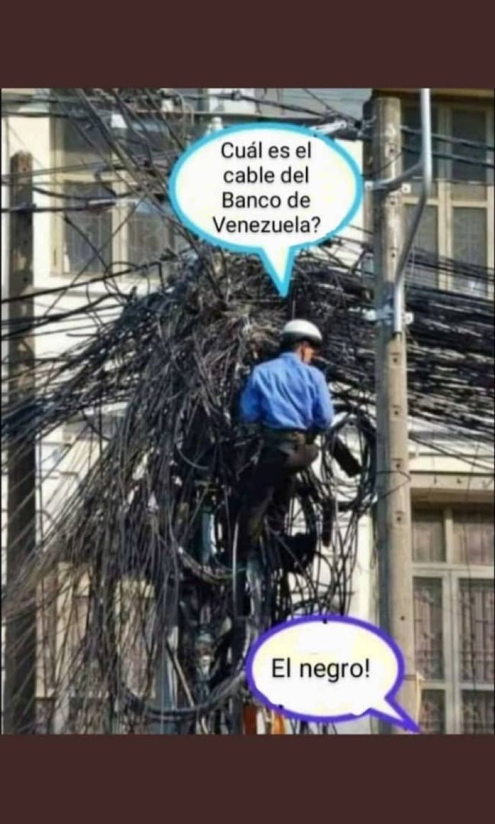 Ireima Calles tweet media