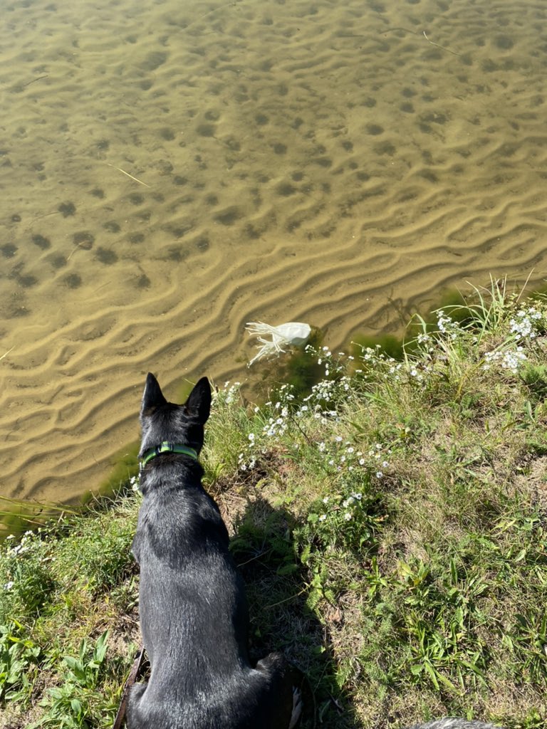 Mrs. Hubbard tweet media