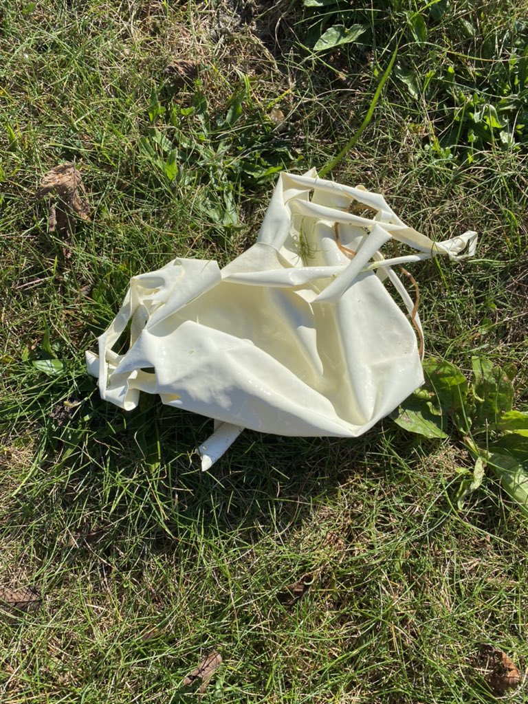 Mrs. Hubbard tweet media