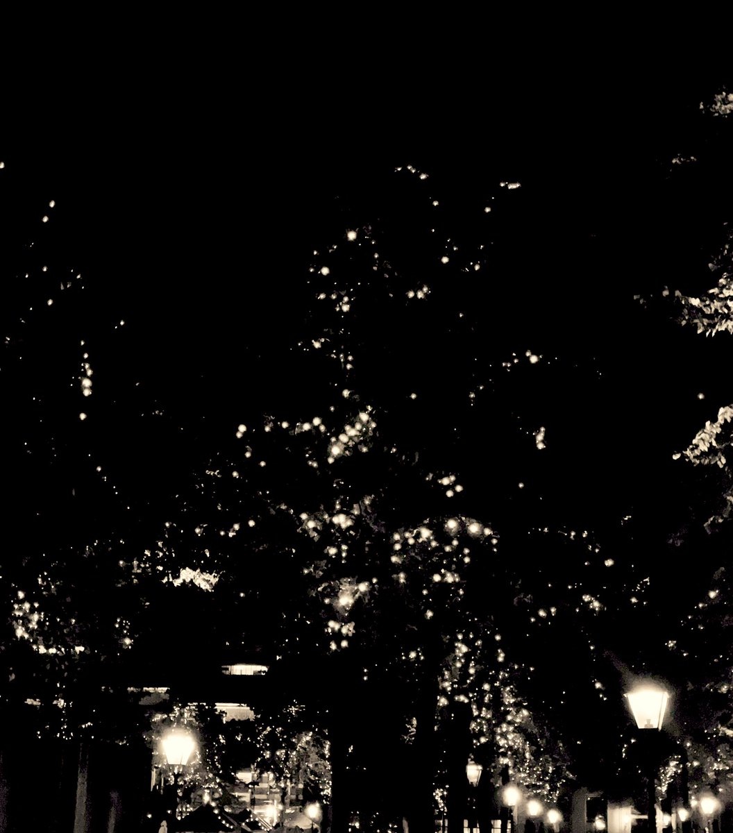 Ohoh Den Haag! Het plein. Wat ben je mooi.  #wateenavond #waai #regen #hetplein #herinneringen #woxtelekker #DenHaag