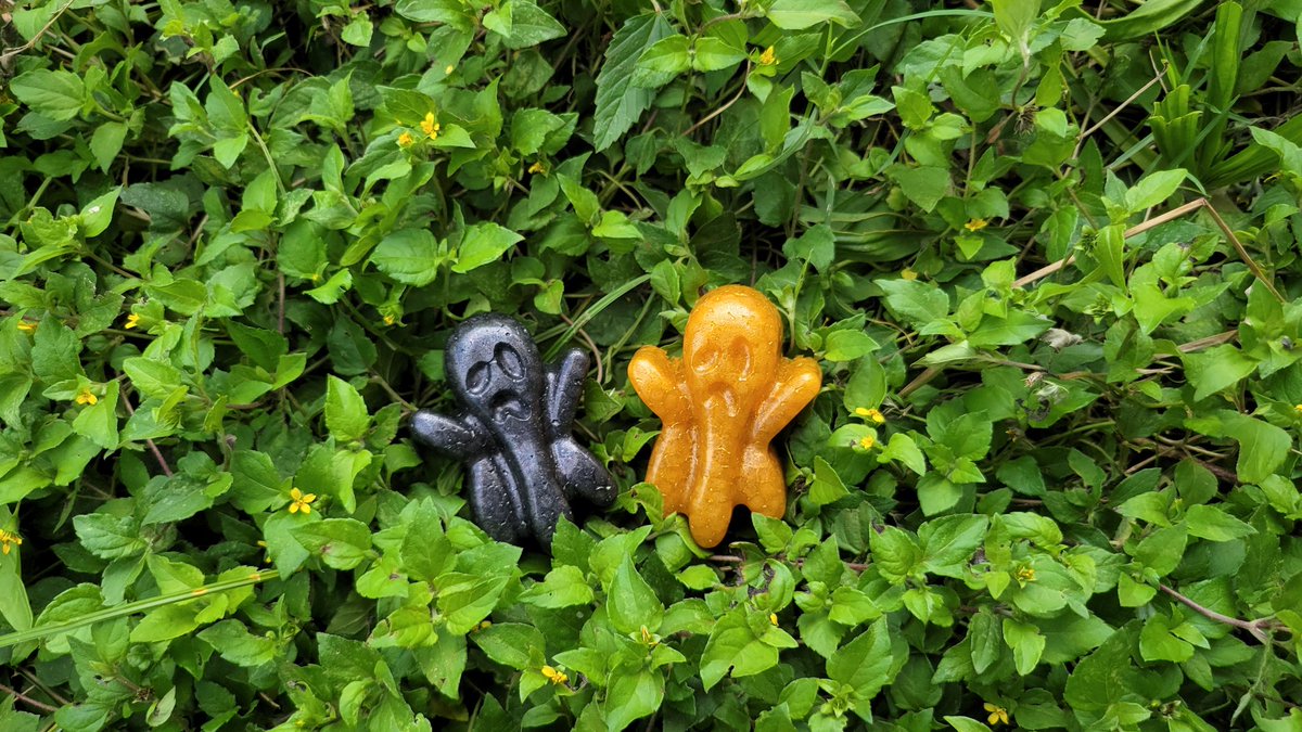 Taybugz1331's tweet photo. Some of my newest orders! On the circle with the picture I can do any picture that you send me as well! These little ones are vent freshies so you can clip them in your car 🧡🥰🖤👻 link is in my bio if you'd like to check it out 🥰 #homemade #Halloween #carfreshie https://t.co/e5rPfe8oYi