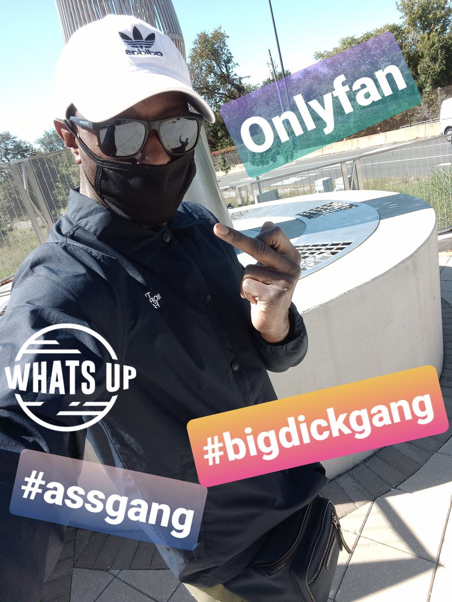 Additional_Palt's tweet photo. All the vibes im feeling today https://t.co/BypgAqpvnT
