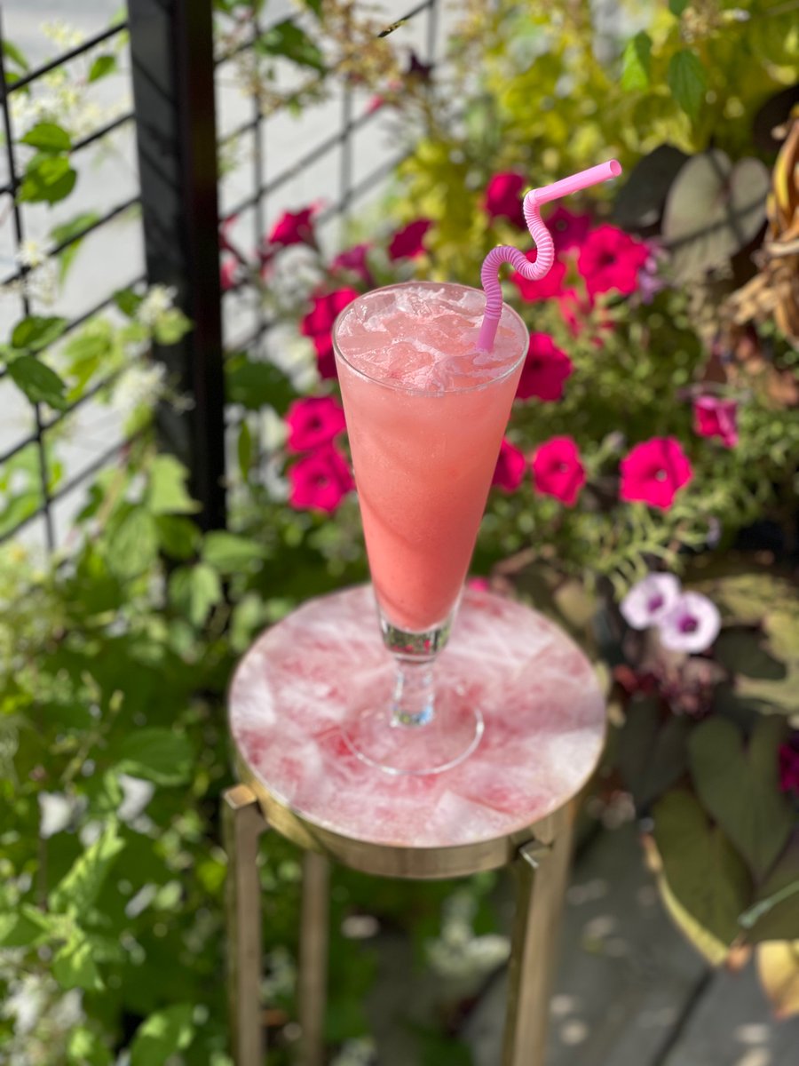 tinyhousebar tweet media