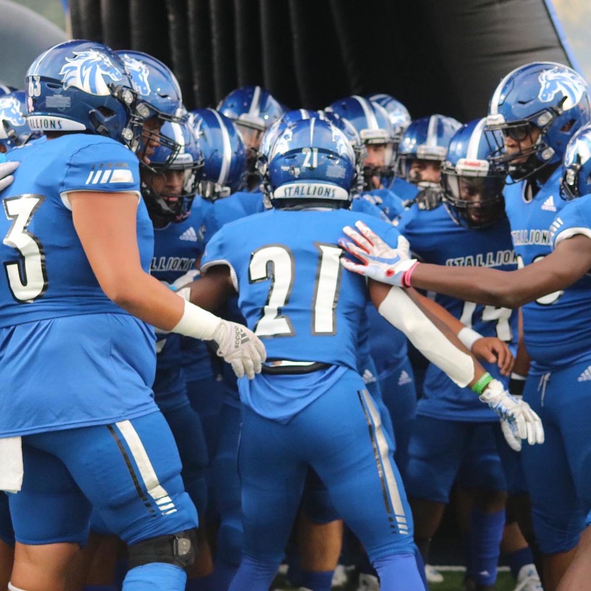 Stallion Media tweet media