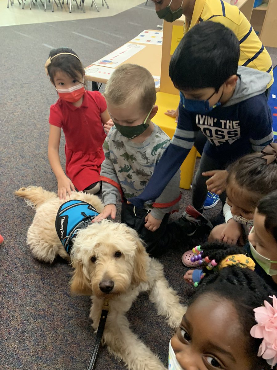 MECC_Counselor2's tweet photo. Shiner πs classroom visits with our youngest Comets! #MasonMoments #MECCtherapydog #Shinerlove #MVP #MostValuablePup https://t.co/WNJrCdAPob