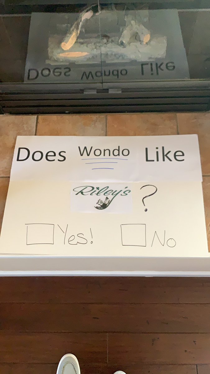 JoshBustamante4's tweet image. Going to be asking @ChrisWondo an important question tonight at the Earthquakes vs Sounders game ( First Row)! Let’s see what he thinks @RileysChico