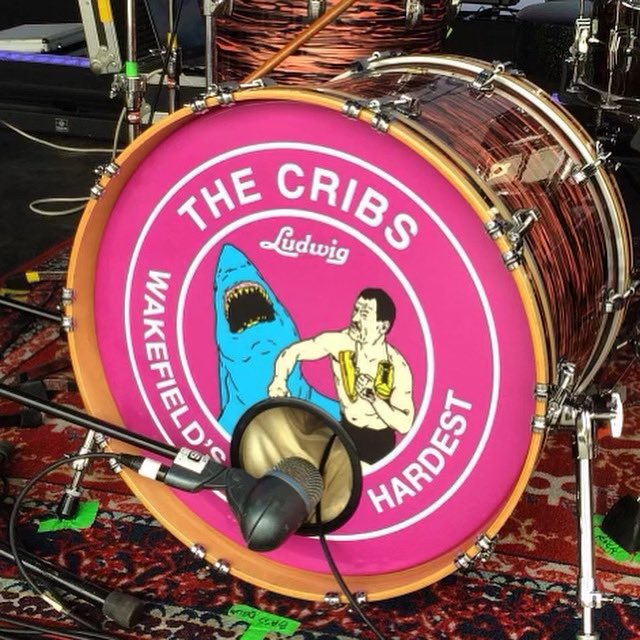 🐯castigers🐯 tweet media