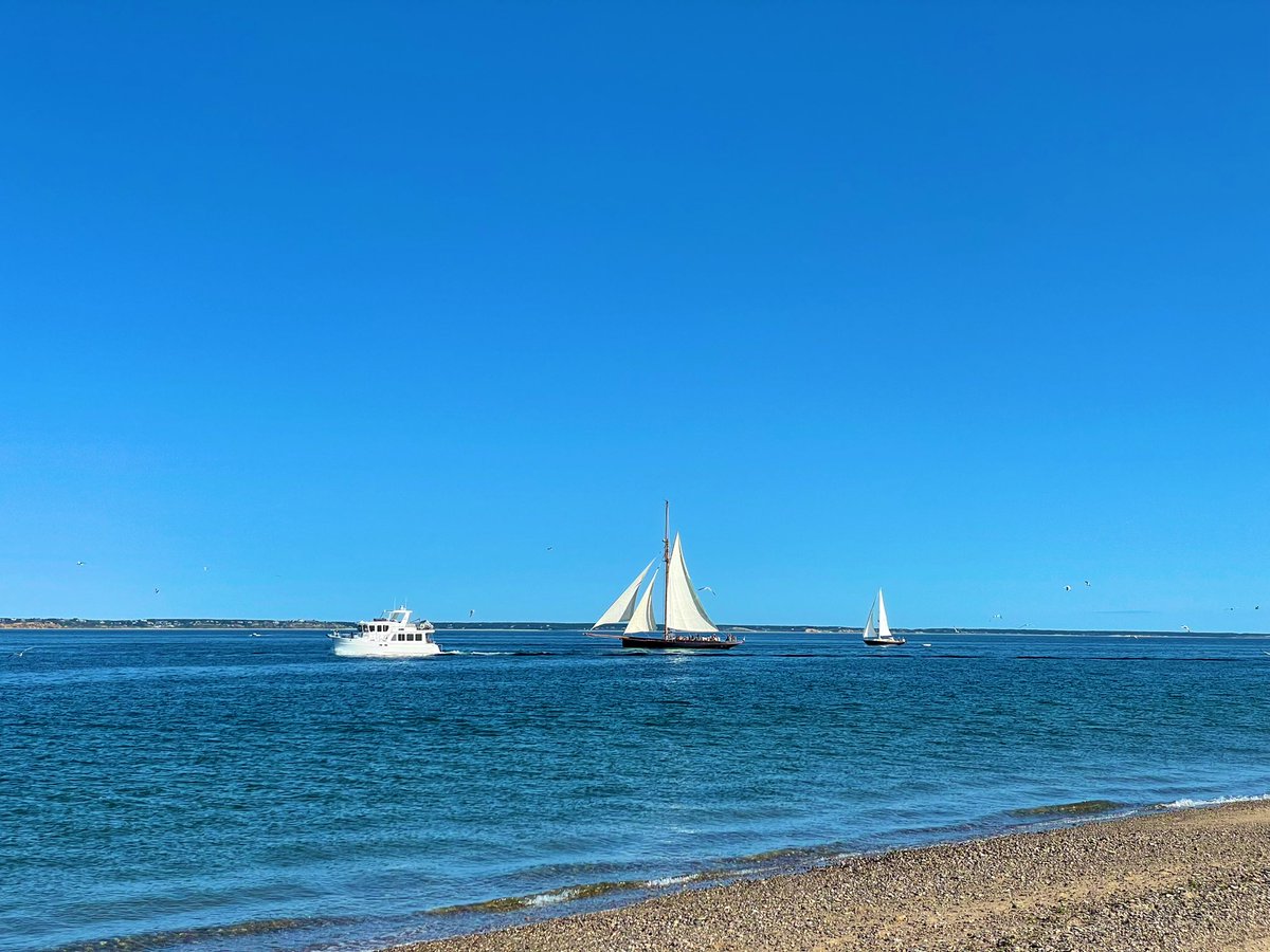 SashaEats's tweet photo. I ❤️ Cape Cod ⛵️
#SashaInPtown #TravelAgain #travel #VisitMA #CapeCodNPS https://t.co/dgpXicEuUb
