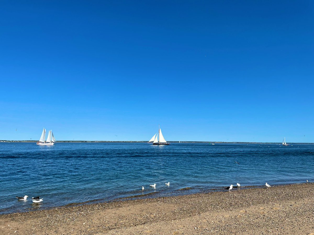 SashaEats's tweet photo. I ❤️ Cape Cod ⛵️
#SashaInPtown #TravelAgain #travel #VisitMA #CapeCodNPS https://t.co/dgpXicEuUb