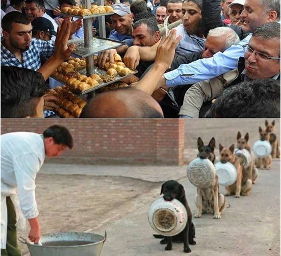 Eğitim, gerçeklerin öğretilmesi değildir. Düşünmek için aklın eğitilmesidir.

| Albert Einstein |