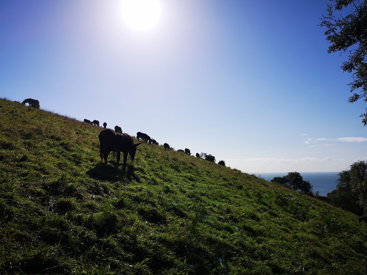 Andy Webb tweet media