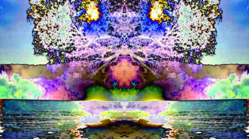 Hisfield tweet media