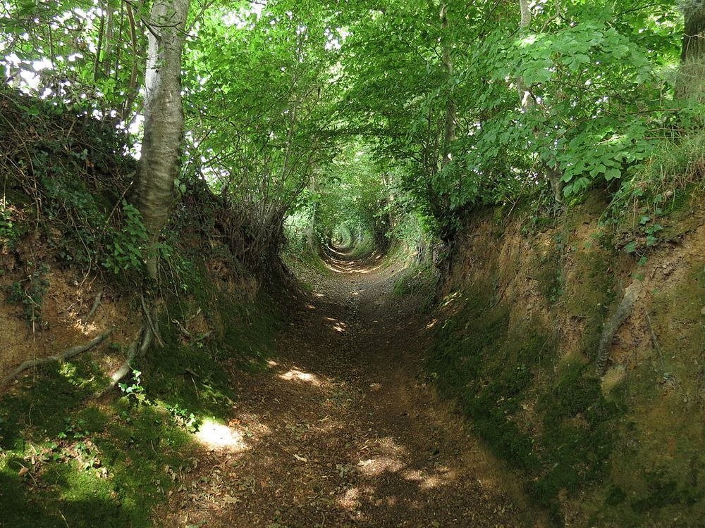 NaoCasanova's tweet photo. Se llaman CAMINOS HUNDIDOS (holloways en inglés) a las pistas que se formaron antaño en terrenos blandos debido a la erosión, sin la intervención planeada de la mano del hombre, aunque luego los utilice.

Los hay por doquier. En Galicia pej. son las congostras y las corredoiras. https://t.co/ISlFBL41jF