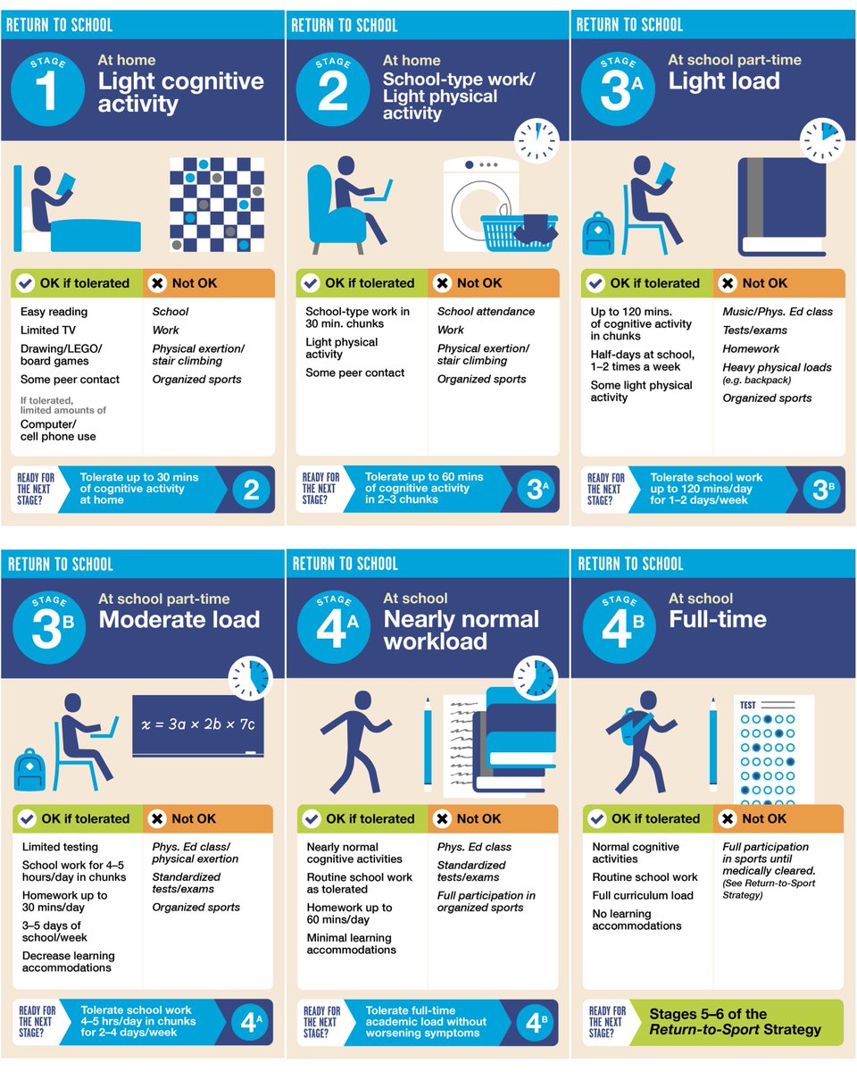 parachutecanada's tweet image. Check out our free downloable &quot;Return to Activities&quot; resources at parachute.ca/concussion to understand how to safely return to activities after a concussion. #CheckforConcussion #ConcussionEd