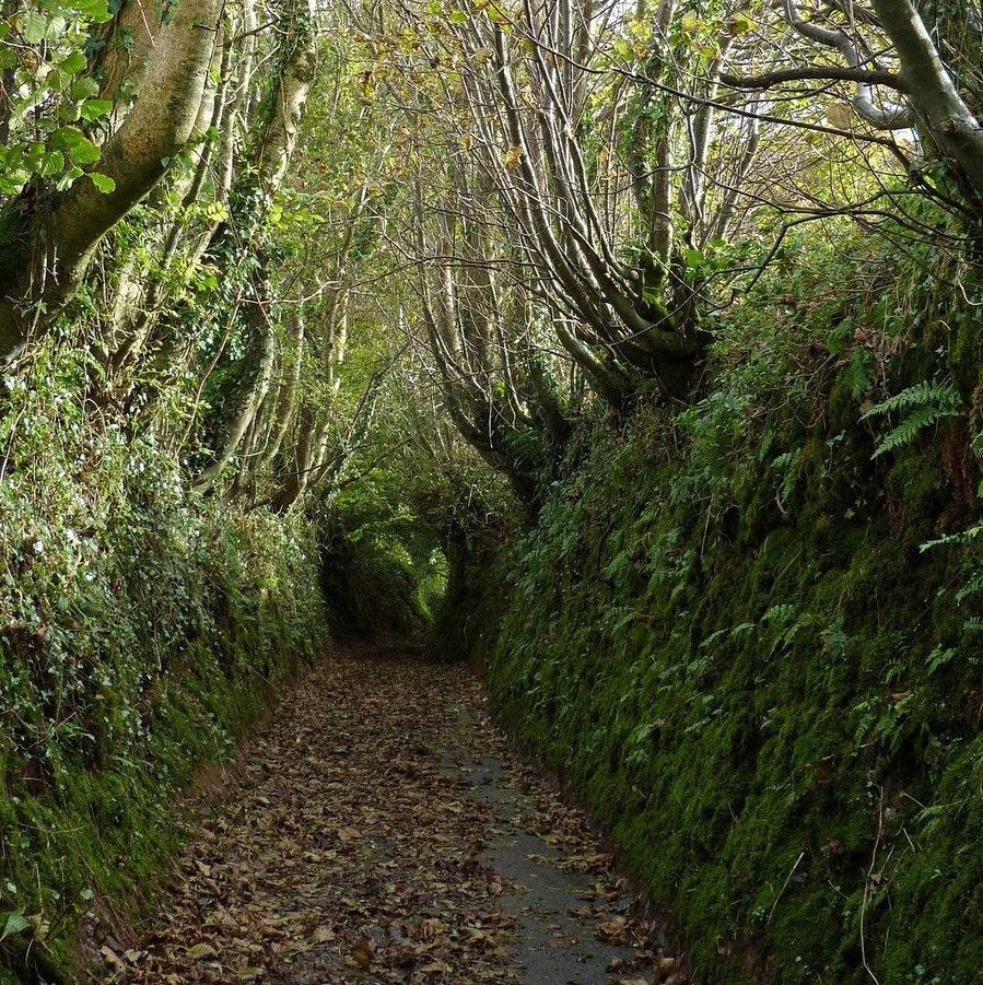 NaoCasanova's tweet photo. Se llaman CAMINOS HUNDIDOS (holloways en inglés) a las pistas que se formaron antaño en terrenos blandos debido a la erosión, sin la intervención planeada de la mano del hombre, aunque luego los utilice.

Los hay por doquier. En Galicia pej. son las congostras y las corredoiras. https://t.co/ISlFBL41jF