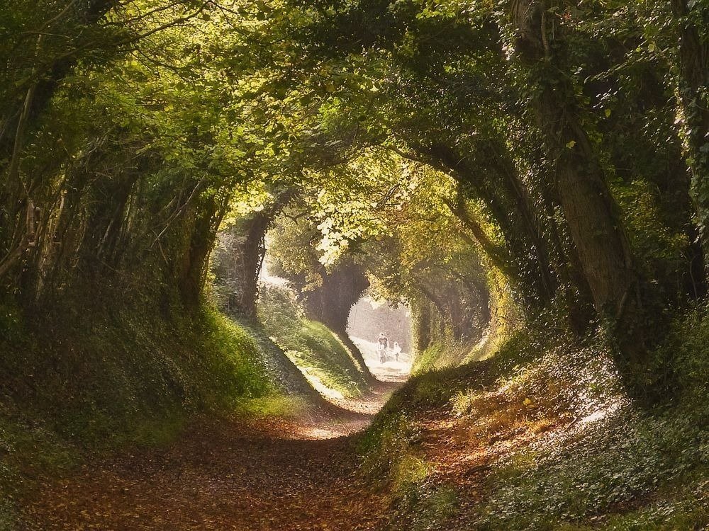 NaoCasanova's tweet photo. Se llaman CAMINOS HUNDIDOS (holloways en inglés) a las pistas que se formaron antaño en terrenos blandos debido a la erosión, sin la intervención planeada de la mano del hombre, aunque luego los utilice.

Los hay por doquier. En Galicia pej. son las congostras y las corredoiras. https://t.co/ISlFBL41jF