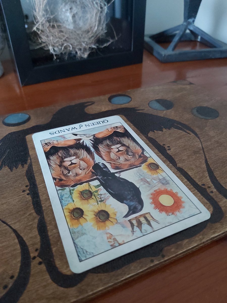 MapleMoonStudio's tweet photo. ๐ฎ #tarot Card of the Day - Sep 29 2021
Queen of Wands - Feeling like you are lacking confidence? You once had big dreams and felt they were within your reach. Now, you are not so sure. Dig deep - is it just fear holding you back?
#mapleandmoonstudio #owensound #cardoftheday https://t.co/f0CMzVpgo0